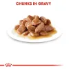 e186b2dd-27e2-4396-849e-b1ef00126460_DownloadAsJpg Royal Canin Instinctive Gravy Wet Food