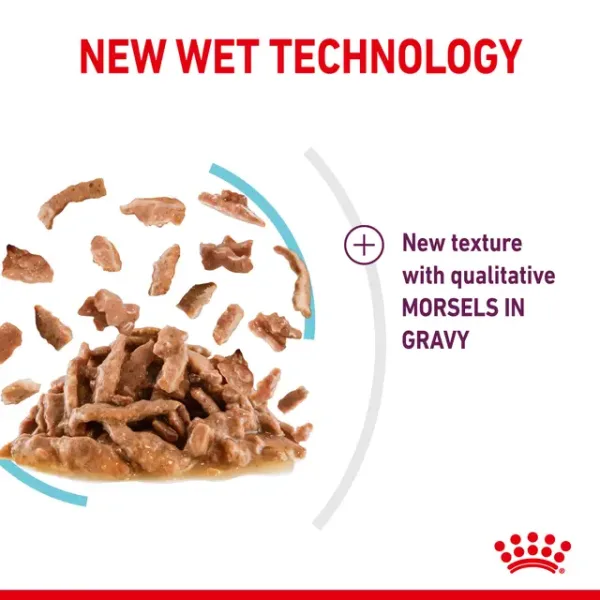 Royal Canin Sensory Feel Wet Food