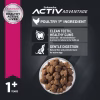 Eukanuba ActivAdvantage Large Breed Adult