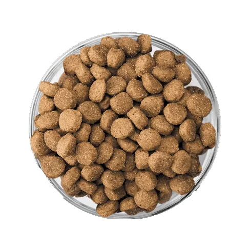 Eukanuba ActivAdvantage Medium Breed Puppy