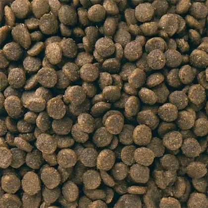 Eukanuba ActivAdvantage Small Breed Puppy