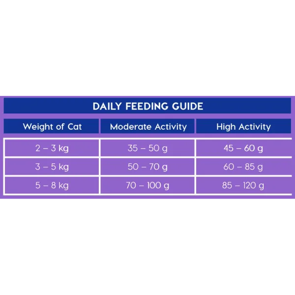 4 Montego Classic Cat Chicken