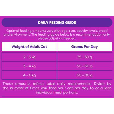 Montego Monty & Me Adult Cat