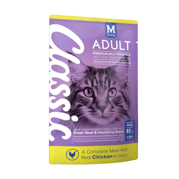 1 Montego Classic Wet Cat Chicken Merch