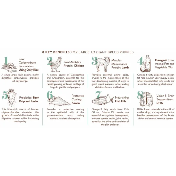 3 Montego Karoo Puppy Chicken & Lamb (L/Breed)