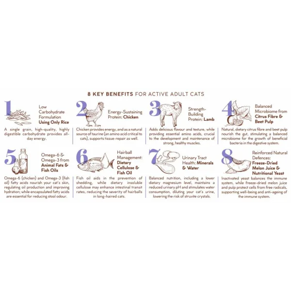 Montego Karoo Cat Chicken & Lamb