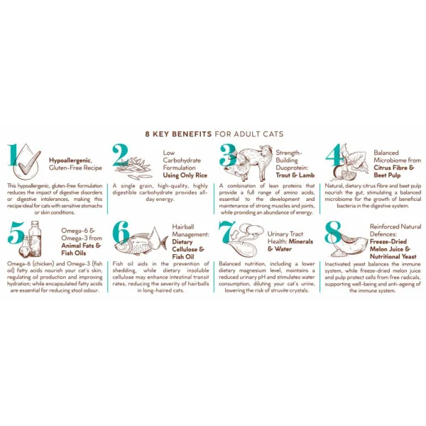 3 Montego Karoo SD Cat Trout & Lamb