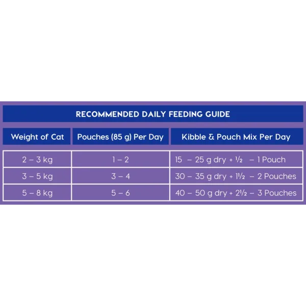 4 Montego Classic Wet Cat Chicken Merch