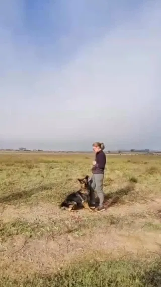 Instagram post from smart_tac_k9. This post is in position 2.