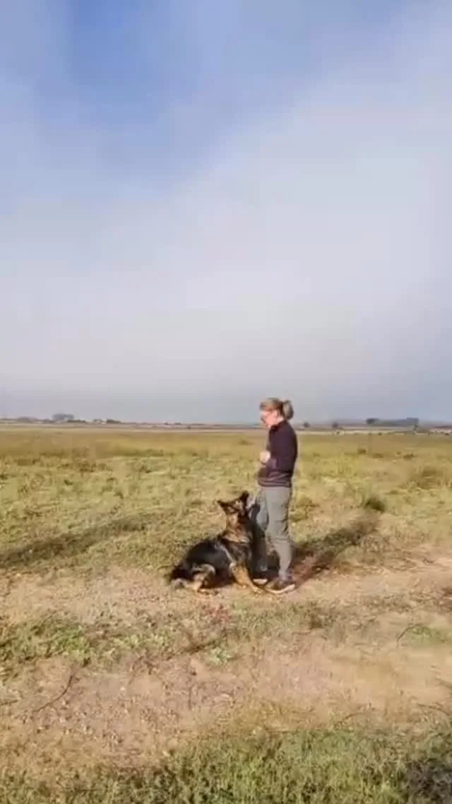 Instagram post from smart_tac_k9. This post is in position 1.