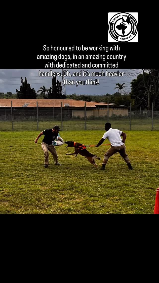 Instagram post from smart_tac_k9. This post is in position 1.