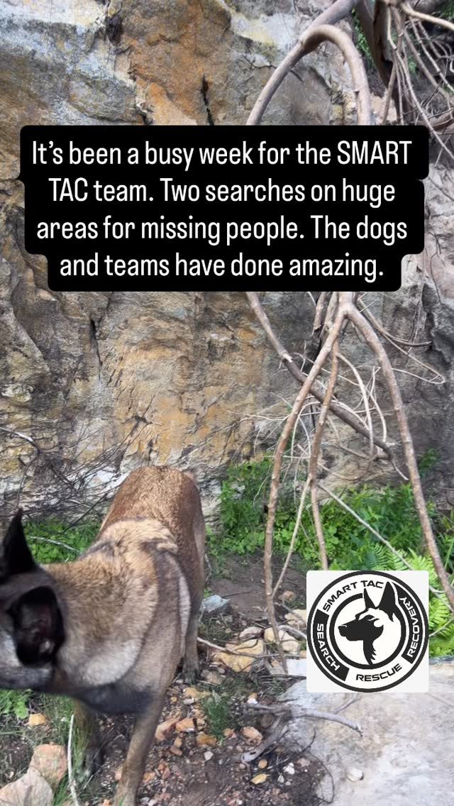 Instagram post from smart_tac_k9. This post is in position 2.