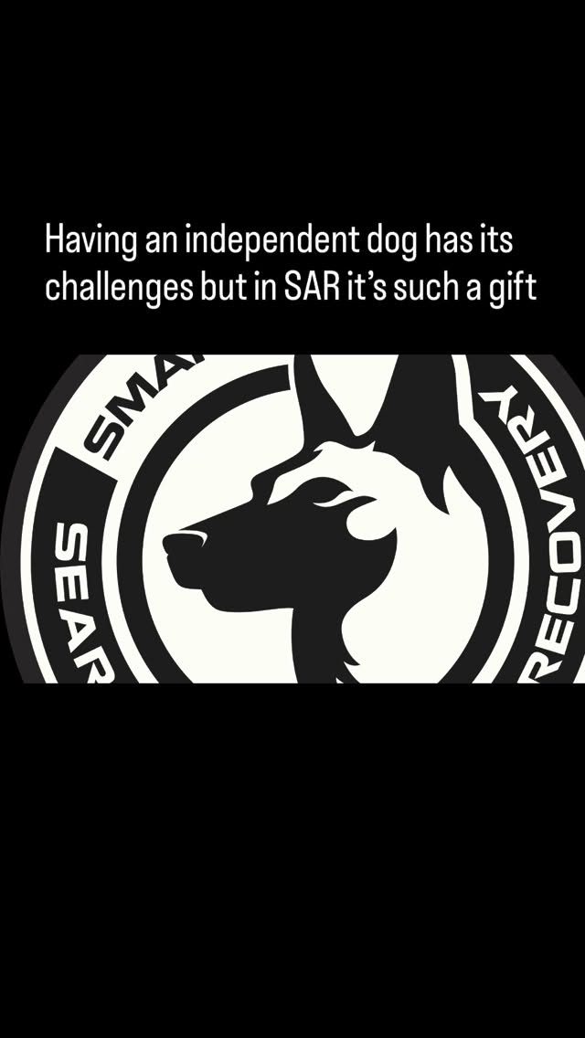 Instagram post from smart_tac_k9. This post is in position 2.