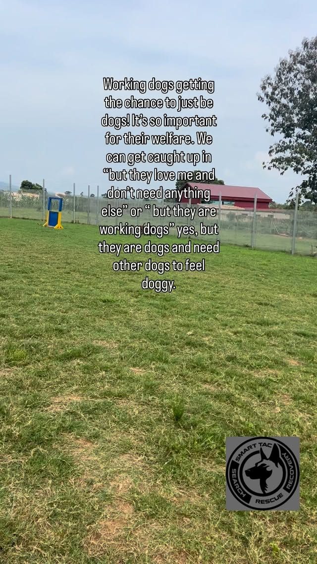 Instagram post from smart_tac_k9. This post is in position 0.