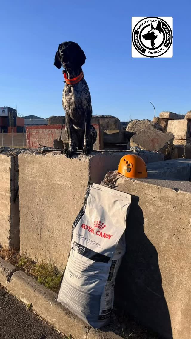 Instagram post from smart_tac_k9. This post is in position 3.