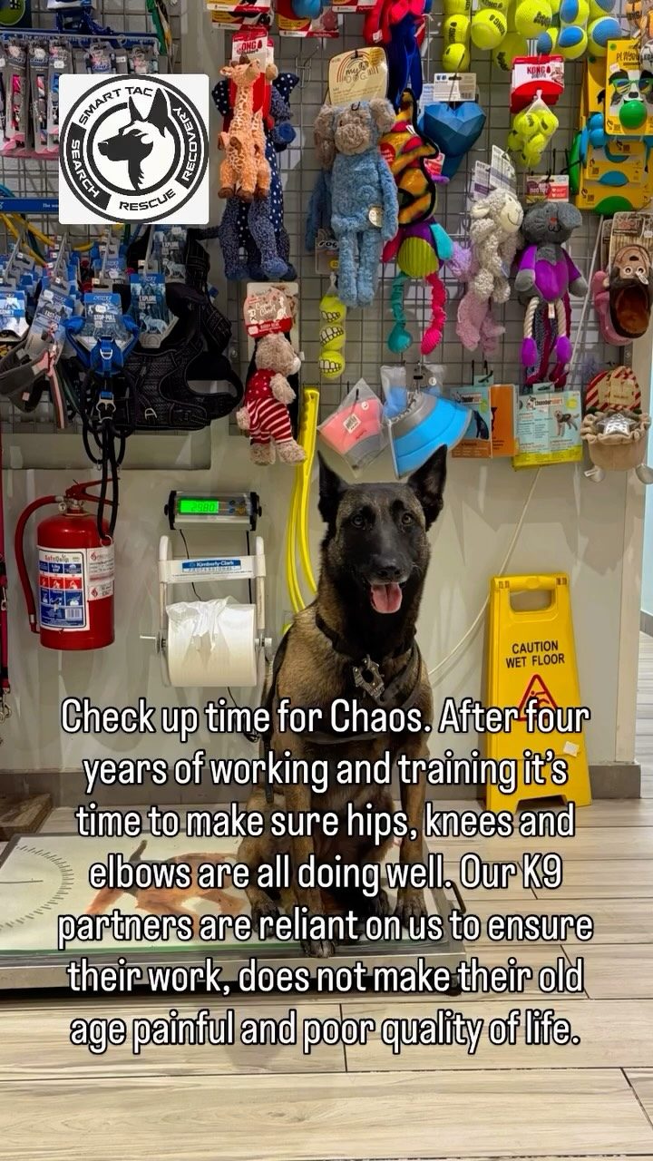 Instagram post from smart_tac_k9. This post is in position 1.