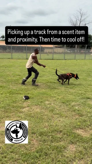 Instagram post from smart_tac_k9. This post is in position 4.