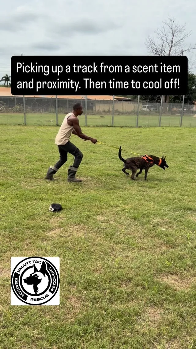 Instagram post from smart_tac_k9. This post is in position 3.