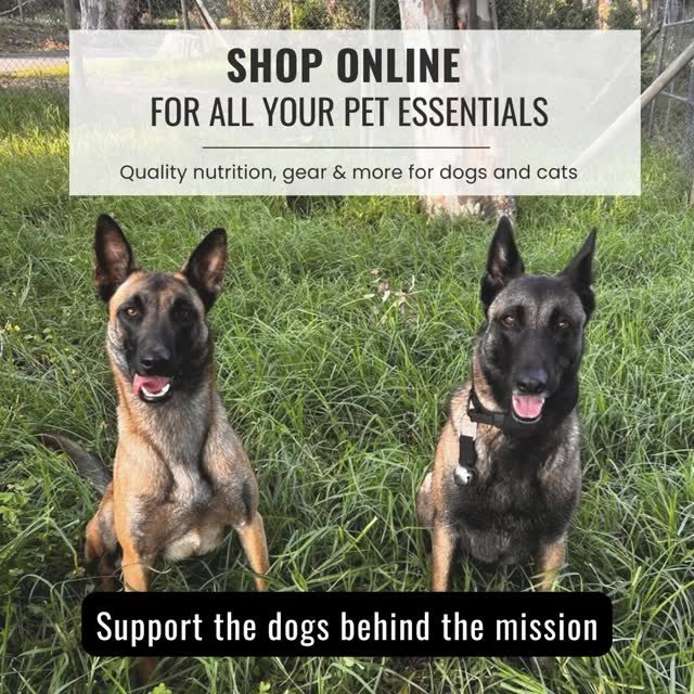 Instagram post from smart_tac_k9. This post is in position 0.