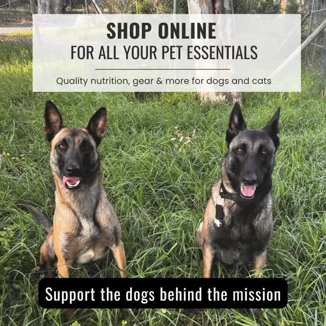 Instagram post from smart_tac_k9. This post is in position 4.